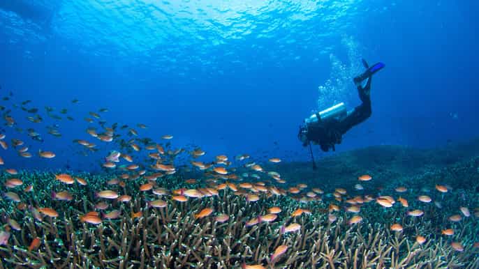gili trawangan gili air gili meno fun dive trip