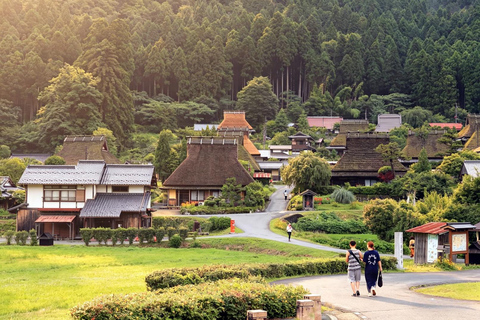 Osaka: Amanohashidate, Ine Cruise & Miyama Village From Osaka (Basic Package)