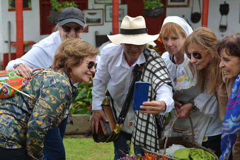 Medellín Flower Festival: Santa Elena Silleteros Experience Santa Elena Silleteros Tour - Morning Option
