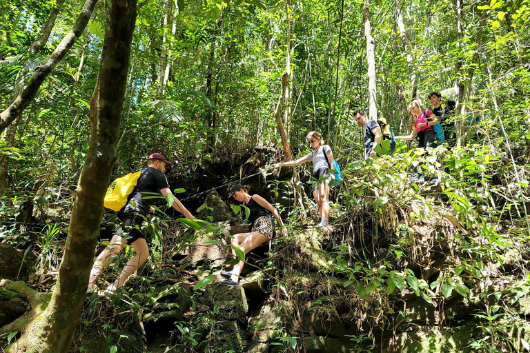 De Hue : Viagem particular de 1 dia para o Parque Nacional Bach Ma