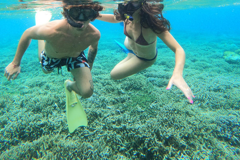 3 Gilis Snorkeling Tour Start Gili Air