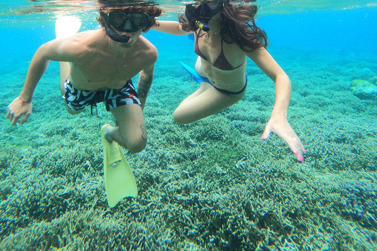 3 Gilis Snorkeling Tour Start Gili Air