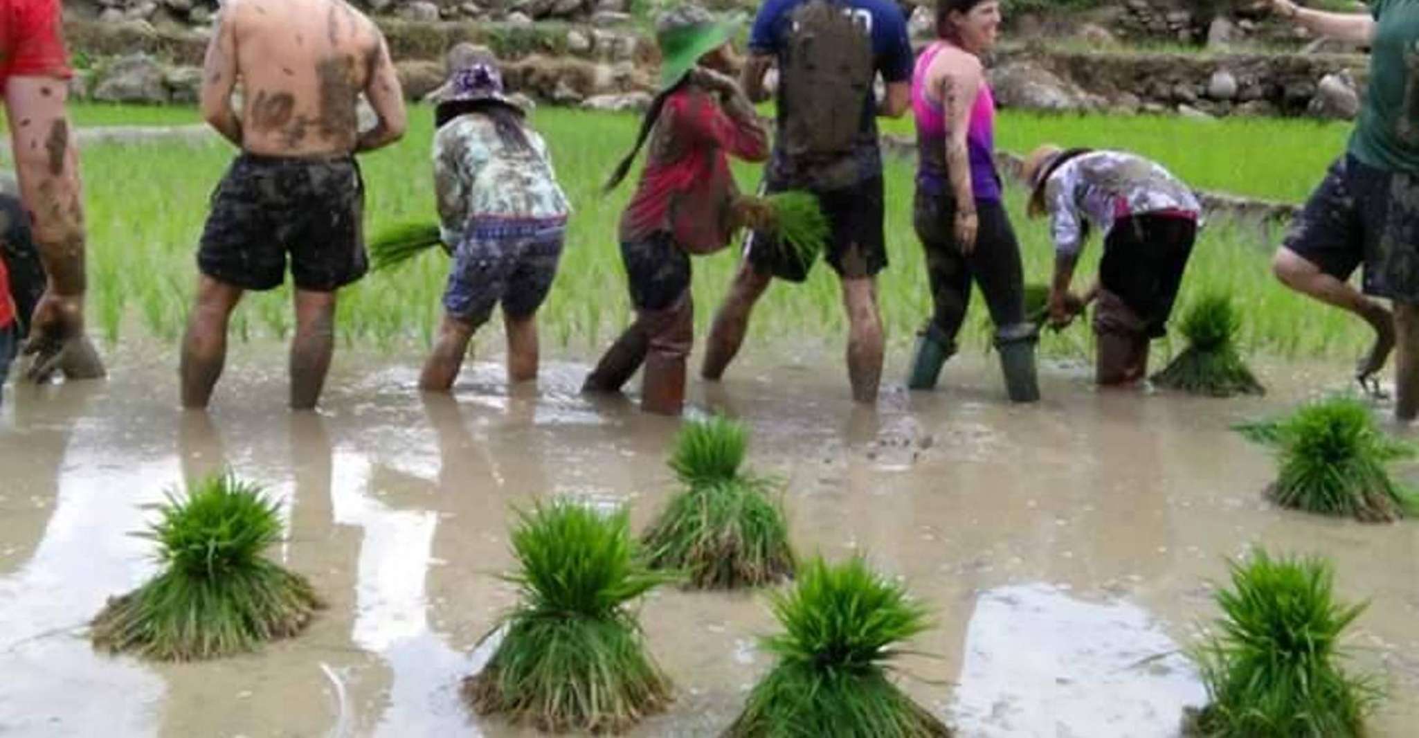 Sa Pa, 2-Day Trekking Trip with Ethnic Minority Homestay - Housity