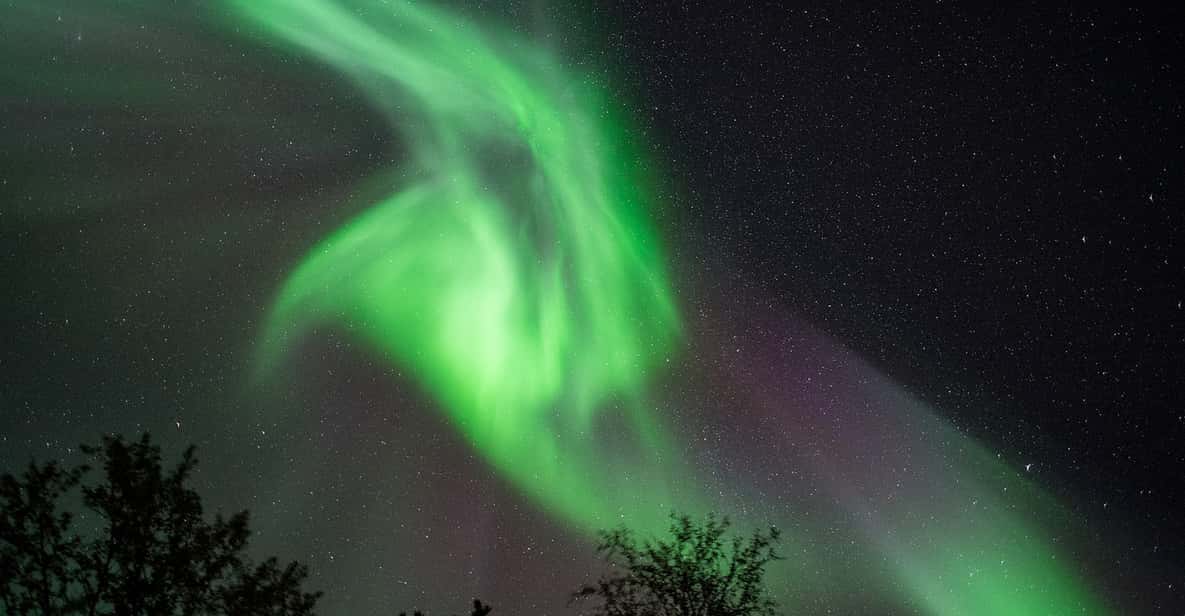 Da Tromsø: tour a caccia dell'aurora boreale con foto