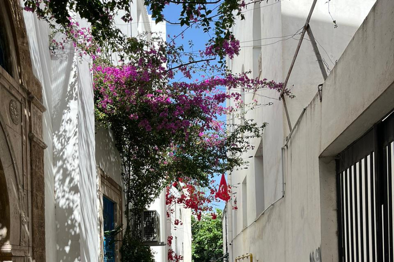 Tunis Express :Carthage, Sidi Bou Saïd & Médina with GENZ