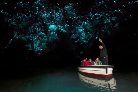 Z Auckland: całodniowa wycieczka do jaskiń Hobbiton i WaitomoHobbiton & Waitomo Glowworm Caves Premium Tour z Auckland