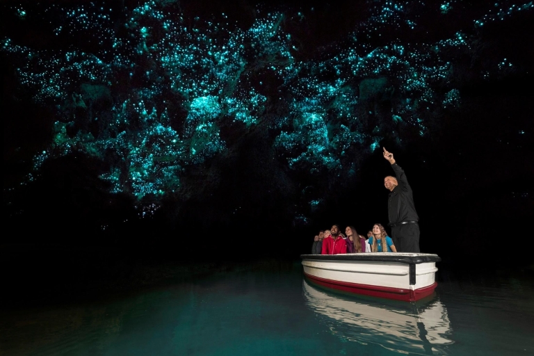 Z Auckland: całodniowa wycieczka do jaskiń Hobbiton i WaitomoHobbiton & Waitomo Glowworm Caves Premium Tour z Auckland