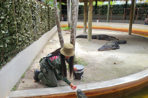 Everglades: tour en barco con transporte y entrada incluidos