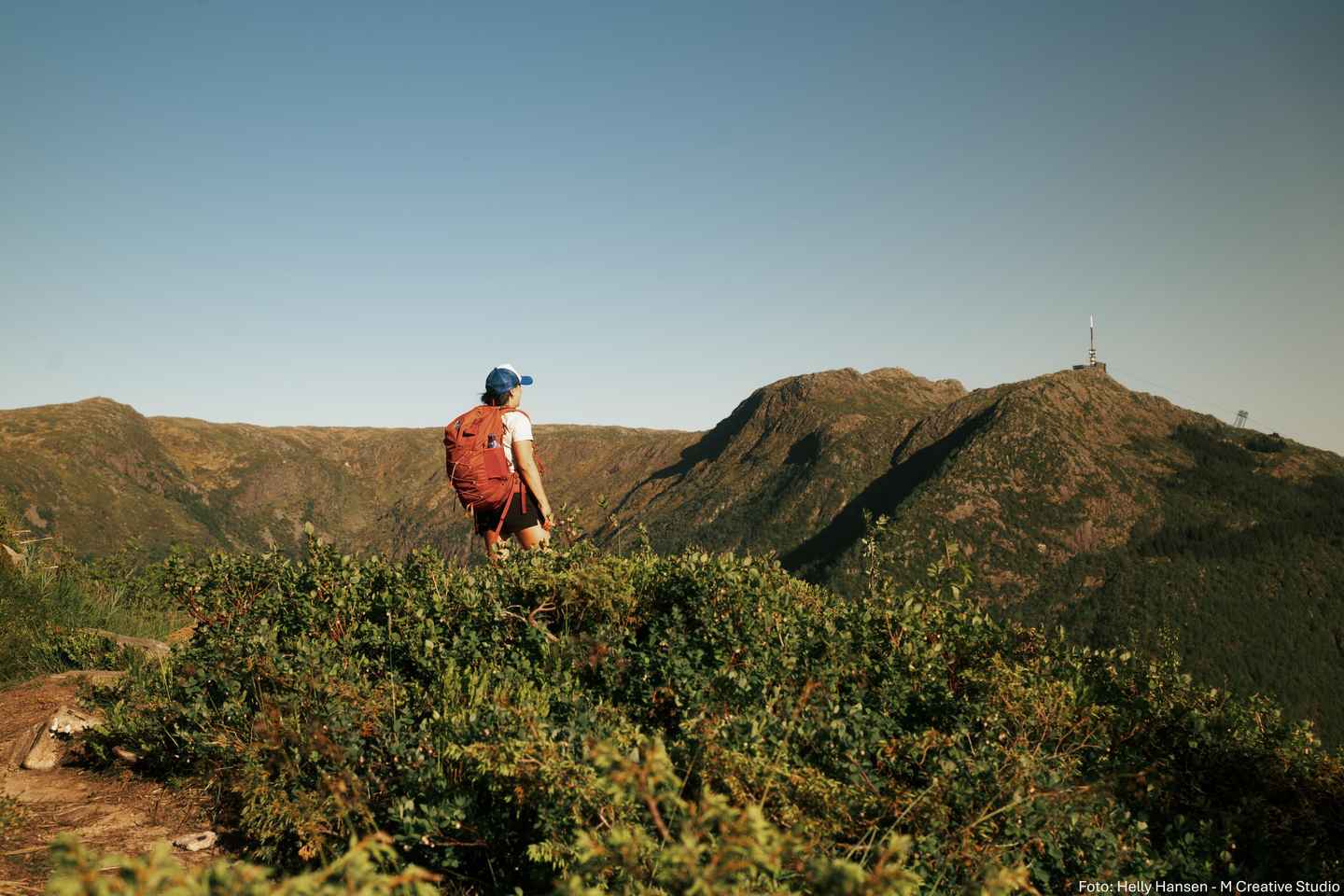 Bergen: Caminata en la cima de Bergen - Tour público