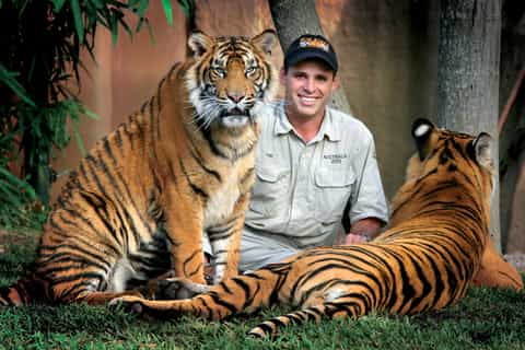 Brisbane: Australia Zoo Full-Day Tour