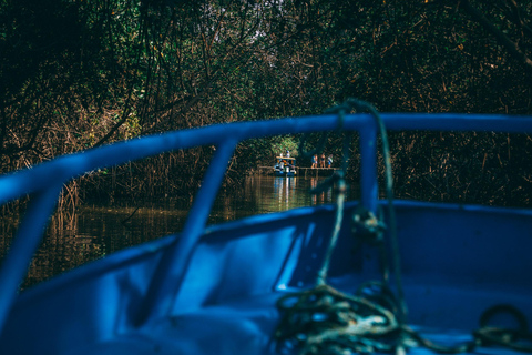 Mangrove Mysteries - Puerto Pizarro Tour