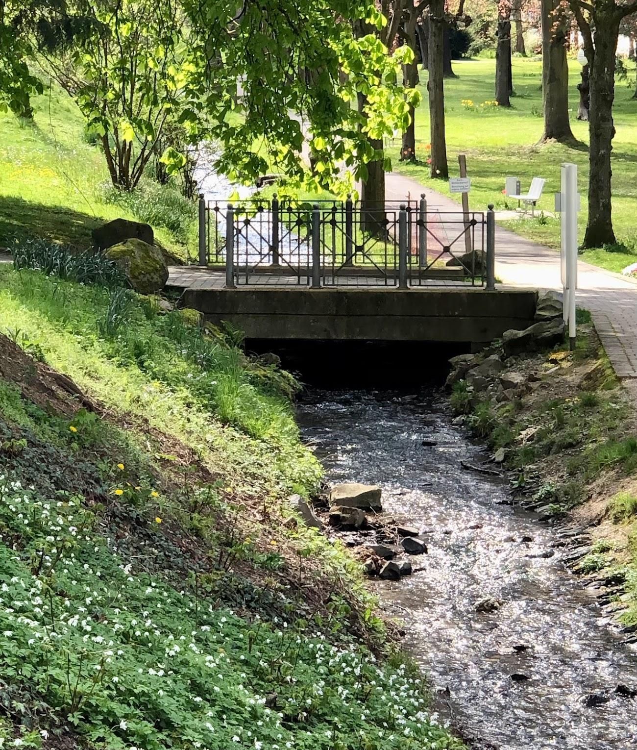 Führung durch den Welterbegarten Kurpark Bad Salzig