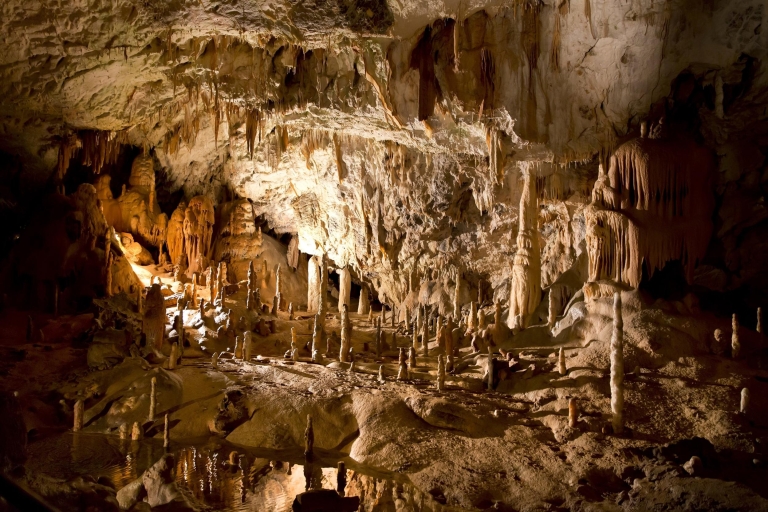 Z Zagrzebia: Lublana, jaskinia Postojna i zwiedzanie zamku PredjamaOpcja standardowa
