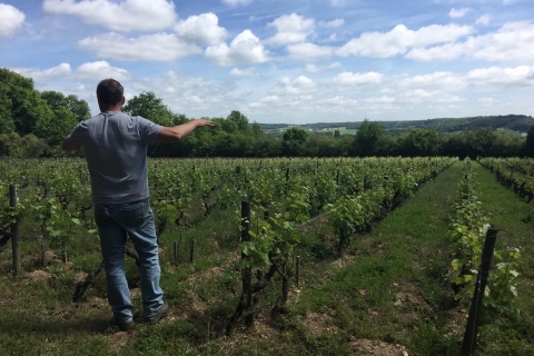 Excursion d'une journée dans les Châteaux et Vins de la Vallée de la Loire depuis Paris
