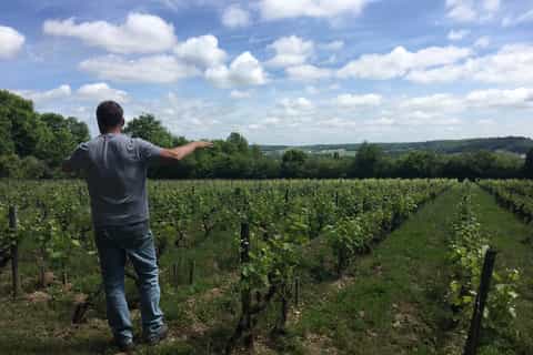 Private Day Tour to Loire Valley Castles & Wines from Paris
