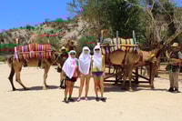 From Cabo, El Tule Canyon Camel Adventure - Housity