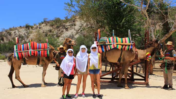 el tule canyon camel adventure from cabo