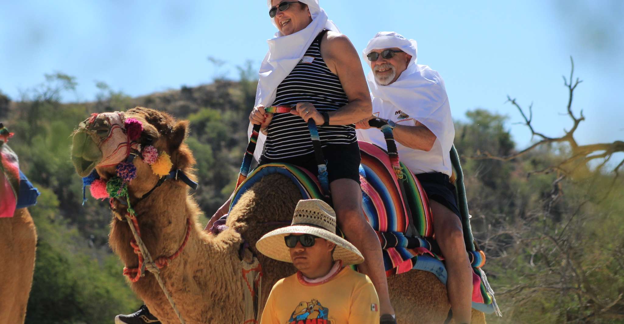 From Cabo, El Tule Canyon Camel Adventure - Housity