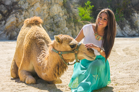 Los Cabos: Camel Ride in the Canyon & Thrilling Water-Slides