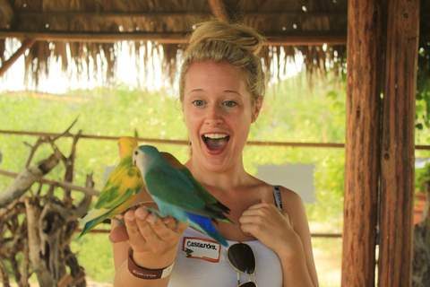 Los Cabos: Camel Ride in the Canyon & Thrilling Water-Slides