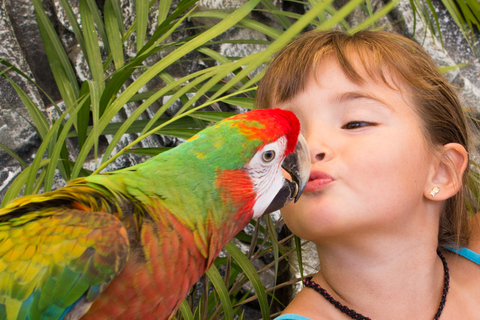 Los Cabos: Camel Ride in the Canyon & Thrilling Water-Slides