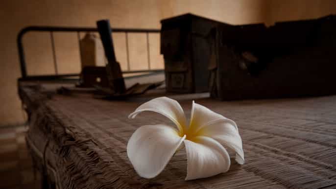 ab phnom penh halbtagestour nach tuol sleng und choeung ek