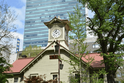 Sapporo : Visite guidée des points forts de la ville avec un guide local