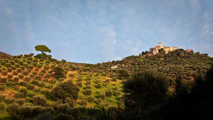 siena and chianti visits from florence