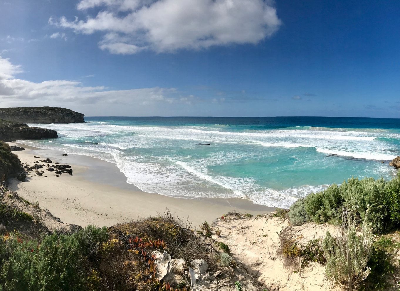 Penneshaw: Landudflugt Kangaroo Island Scenic Tour