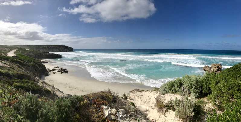 Penneshaw : Excursion à terre Kangaroo Island Scenic Tour