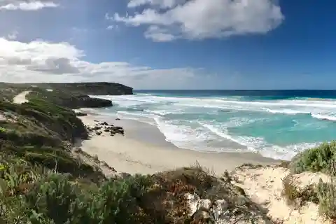 Penneshaw: Shore Excursion Kangaroo Island Scenic Tour