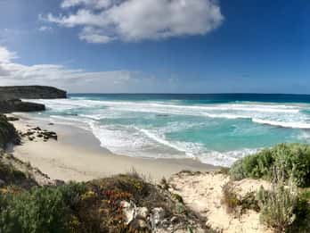 Penneshaw: Landausflug Kangaroo Island Scenic Tour