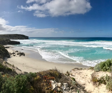 Penneshaw Excursión panorámica por la Isla Canguro