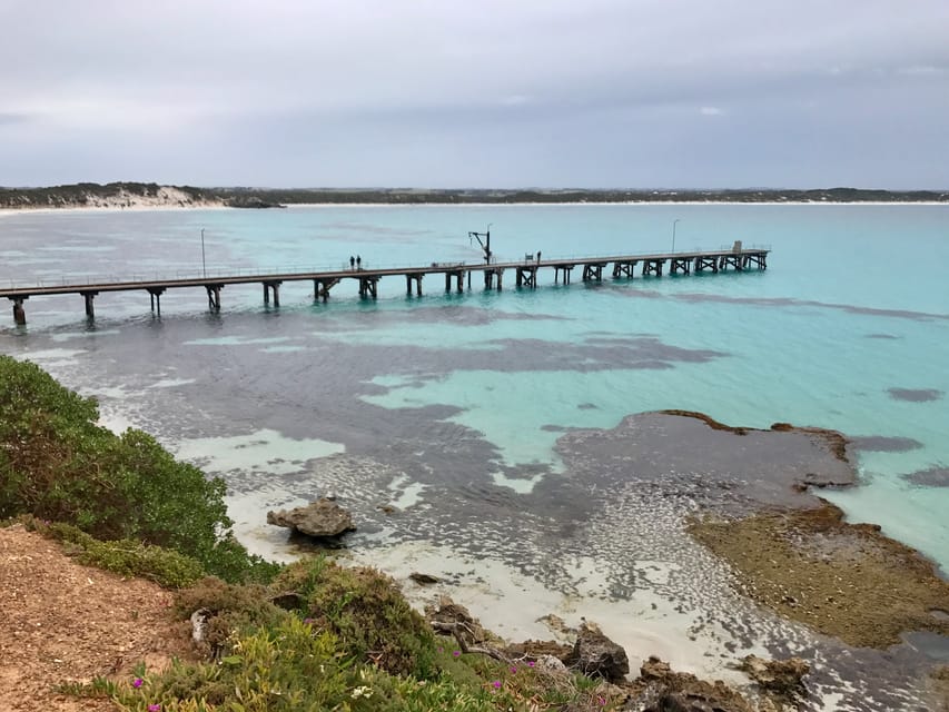 Penneshaw Shore Excursion Kangaroo Island Scenic Tour GetYourGuide