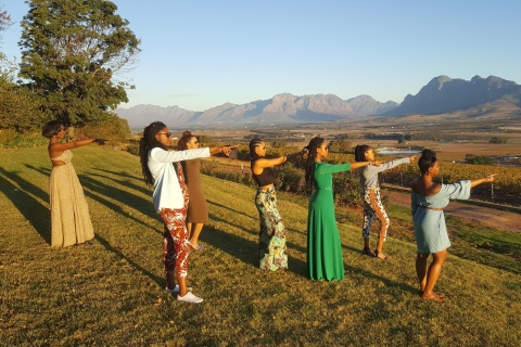 Ciudad del Cabo: tour compartido de 1 día de cata de vino