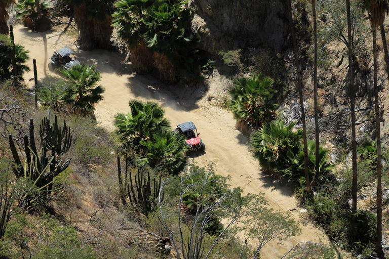 Los Cabos: Ultimate UTVs Adventure, Cross the Wooden Bridge