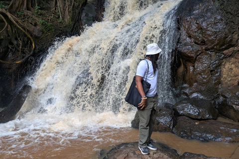 Karura Forest walking tour with nature and waterfalls.