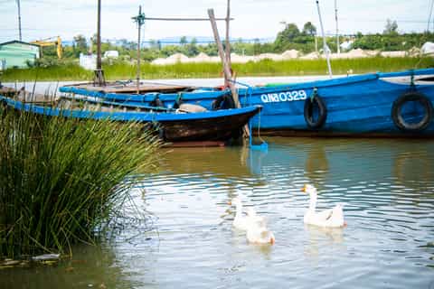 Hoi An: Local Experience Tour by Bike from Da Nang