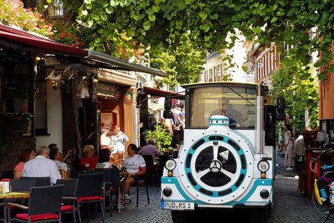 Tour panoramico di Rüdesheim con il Winzerexpress