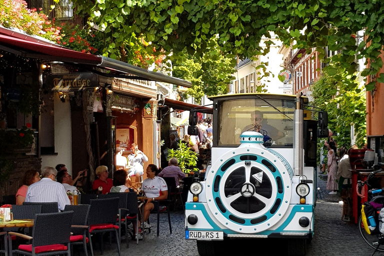 Tour panoramico di Rüdesheim con il Winzerexpress