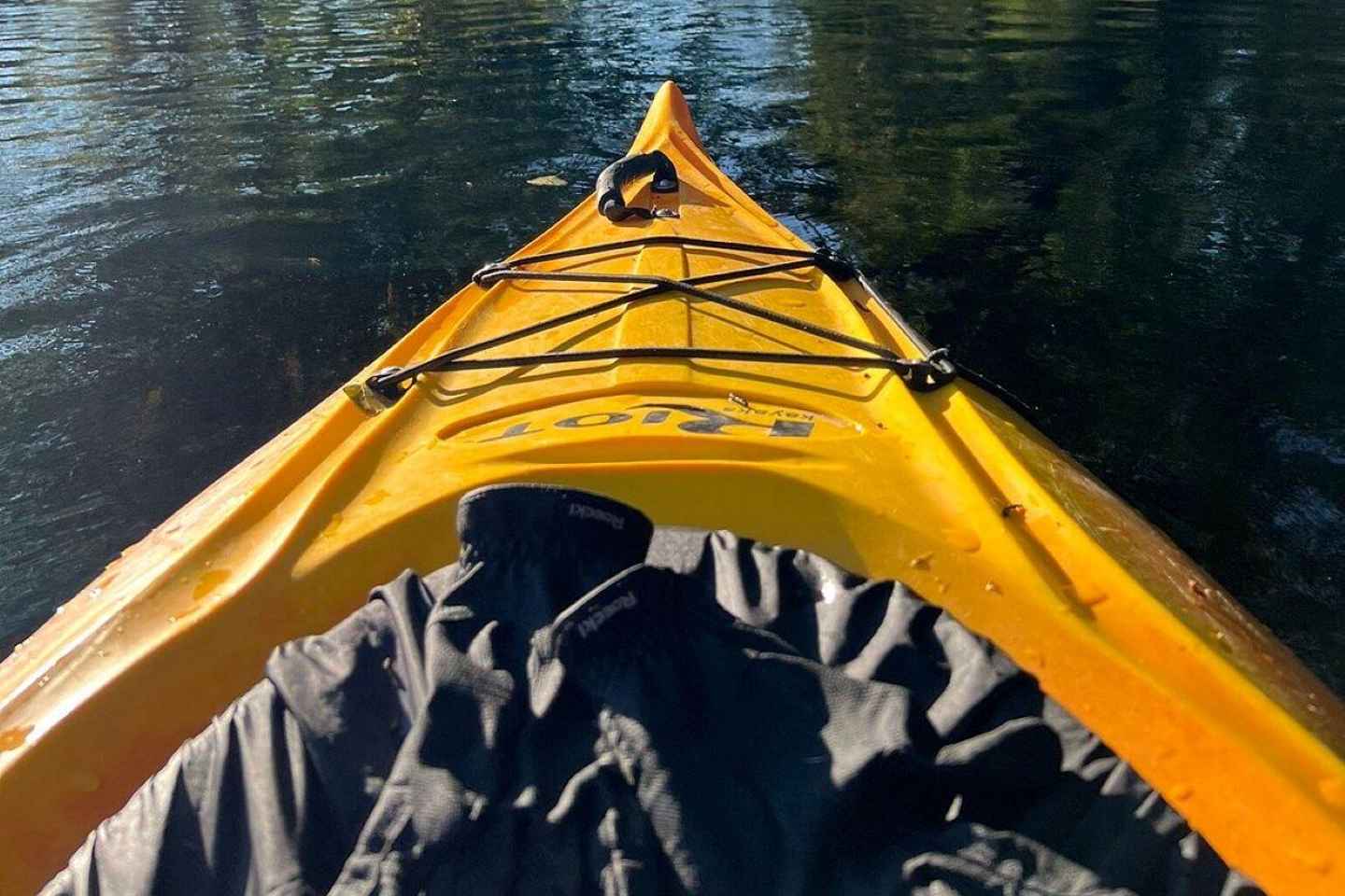 Dals Långed: Steneby River Kayaking Tour