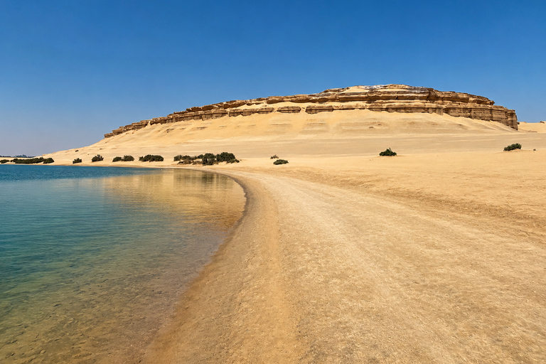 From Cairo: 4x4 Desert Safari, Waterfalls & Magic Lake Shared Tour: Wadi El Rayan, Magic Lake & Lake Qarun, Jeep