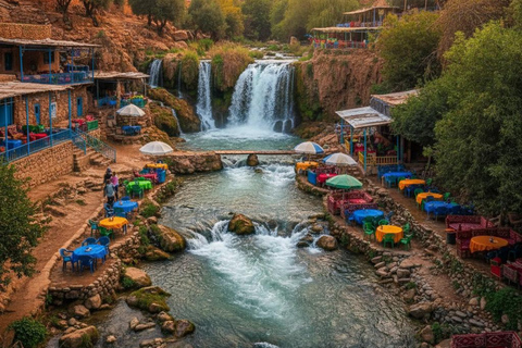From Marrakech: Ourika Valley Atlas Mountains Day Trip with Lunch Option 3: Shared Group Transport and Local Guide