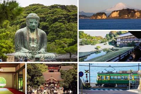 From Tokyo: Kamakura Full Day Tour with a Local Expert Guide