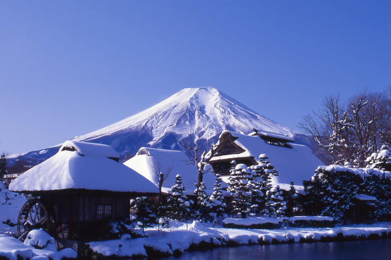 Tokyo: Mt Fuji&Chureito Pagoda&Lake Kawaguchi&Oshino Hakkai Free Karaage Chicken Set | 8AM Tokyo Station Departure