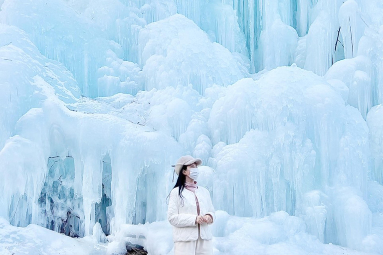 Seul: Esqui de inverno no Vivaldi Park com excursão de um dia ao Eobi Ice ValleyPacote completo SLED - Encontro na estação Hongik Univ.