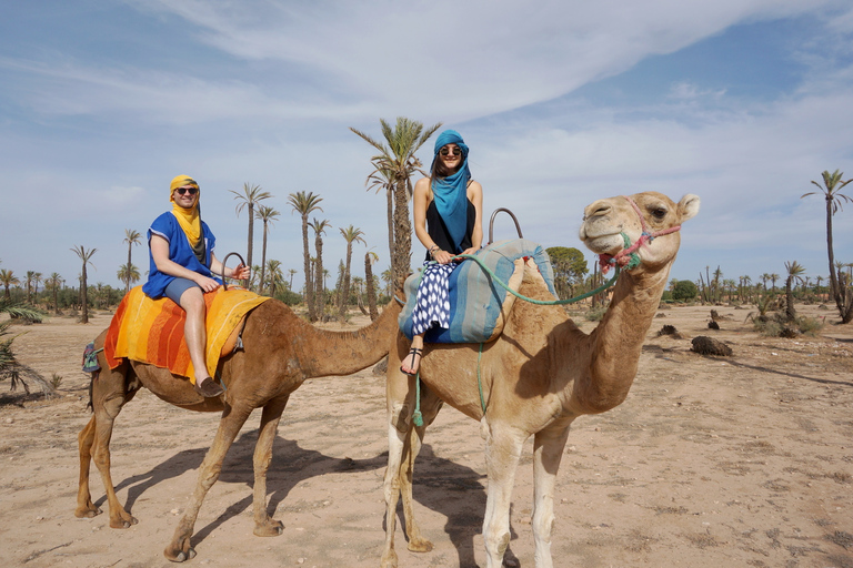 Marrakech: Half-Day Camel Ride in Palm Grove