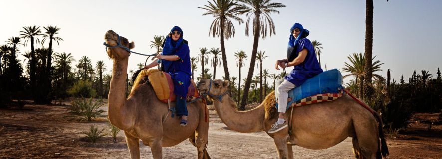 Marrakesch: Halbtägige Kameltour im Palmenhain