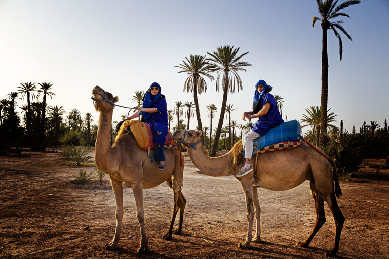 Marrakech: Half-Day Camel Ride in Palm Grove