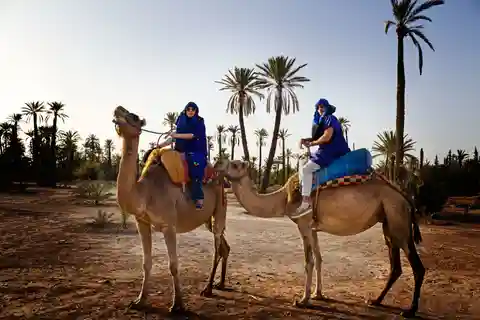 Marrakech: Giro di mezza giornata in cammello nel palmeto